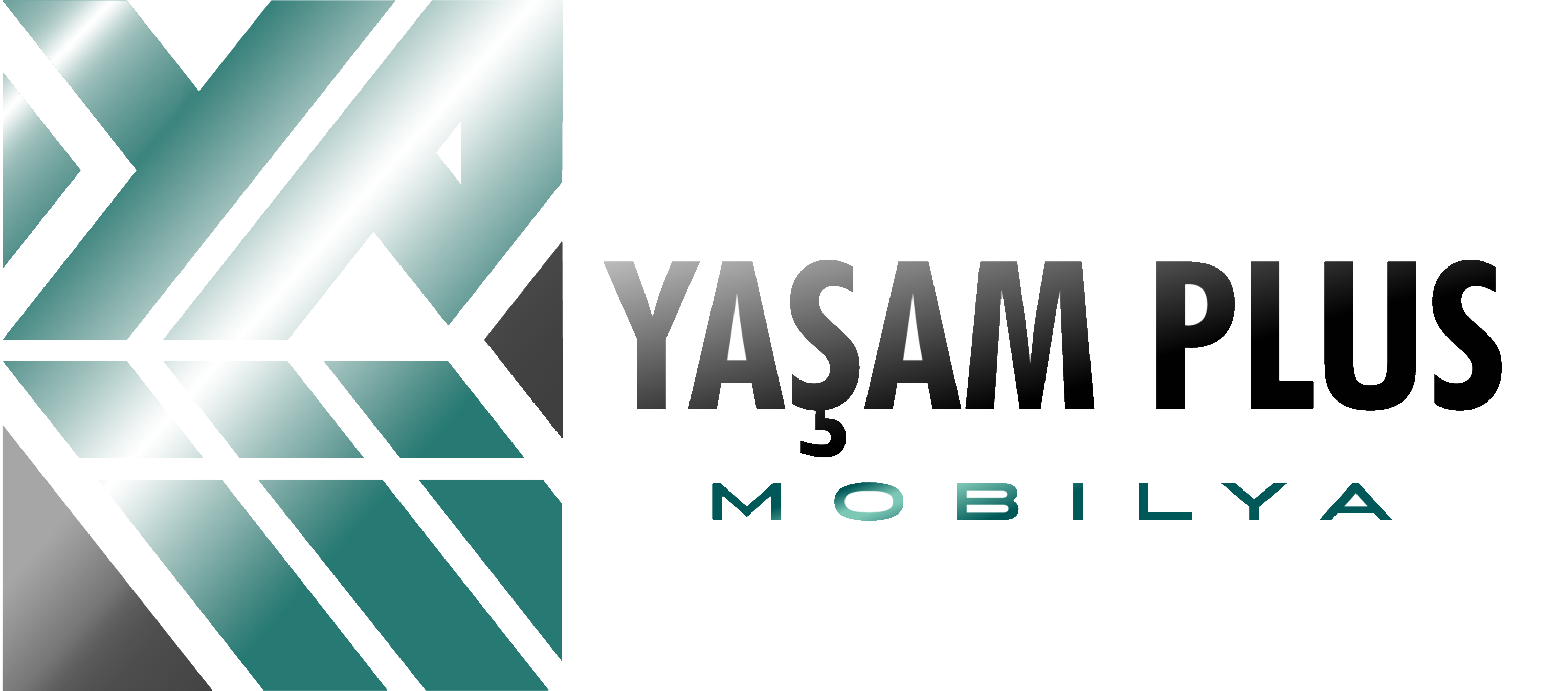 Yaşam Plus Logo